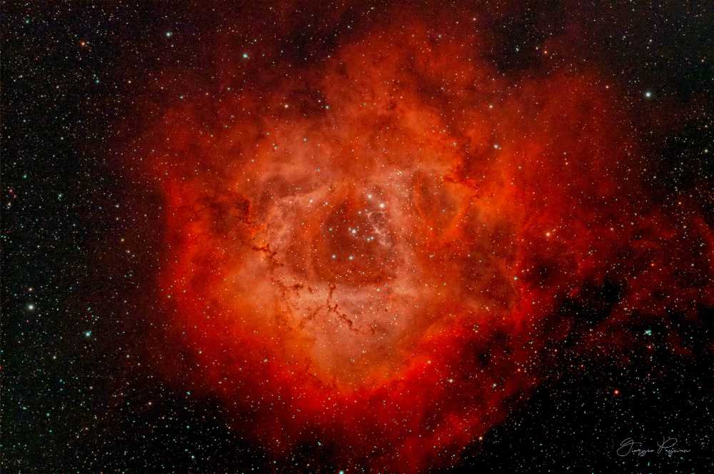 Rosette Nebula